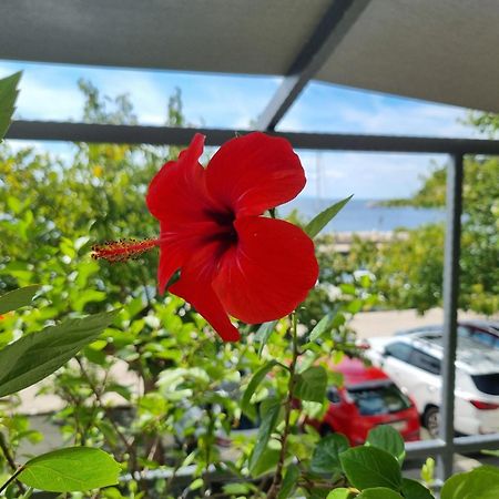 Apartman Ruza Podgora Ngoại thất bức ảnh