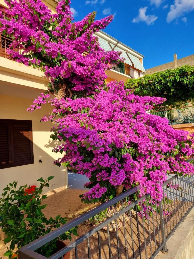 Apartman Ruza Podgora Ngoại thất bức ảnh